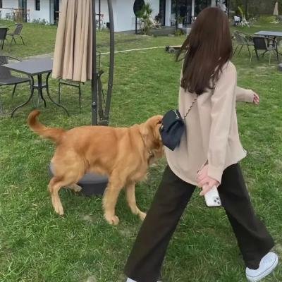 阿衰第二季